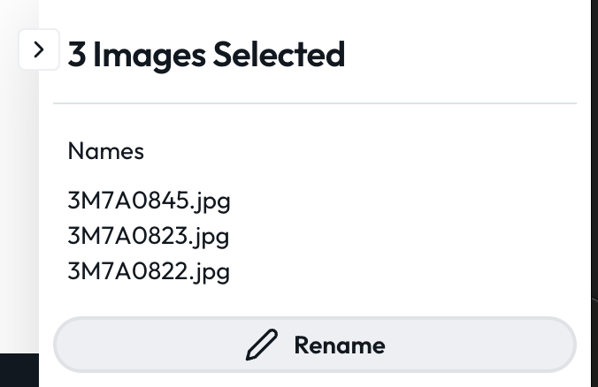 Screenshot 2025-01-13 at 12.52.44 PM.png