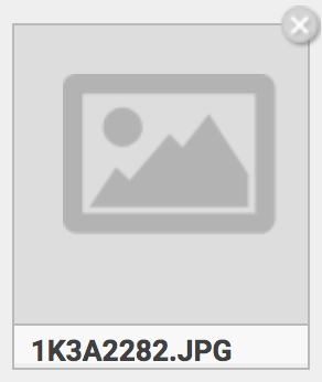 web_uploader_6.png