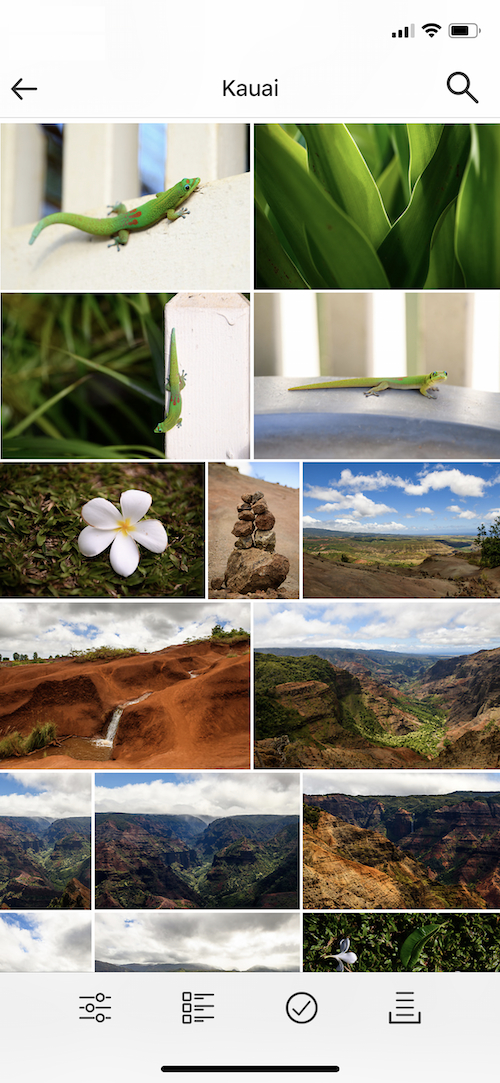 IMG_5427_copy.PNG