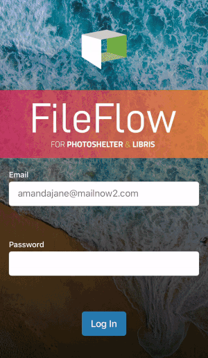 FileFlowClient.gif