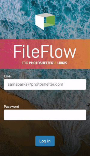 FileFlowPhotographer.gif