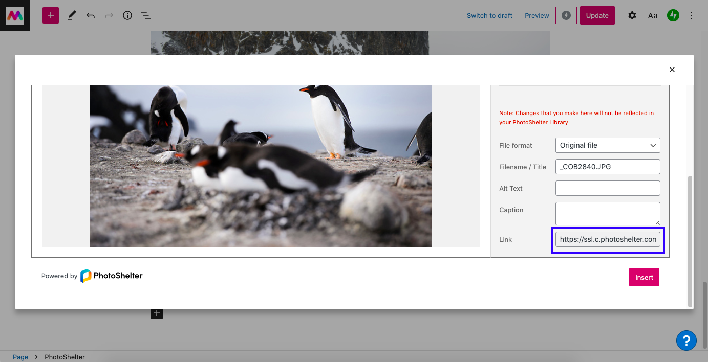 Screen_Shot_2021-11-05_at_10.56.55_AM.png